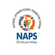 naps-nats-icon